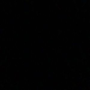 Meet your Posher, Octavius